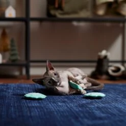 Frisco Snowflake Plush Cat Toy With Catnip, 3 Count -Meowverse Store 233285 PT3. AC SS1800 V1661874178