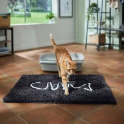 Frisco Microfiber Chenille Fish Bone Litter Mat 9 Frisco Microfiber Chenille Fish Bone Litter Mat -Meowverse Store 236242 PT3. AC SS1800 V1676556249