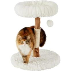 Frisco Natural Wood Modern Cat Tree With Toy, Ivory, Small -Meowverse Store 236559 PT2. AC SS1800 V1615987338