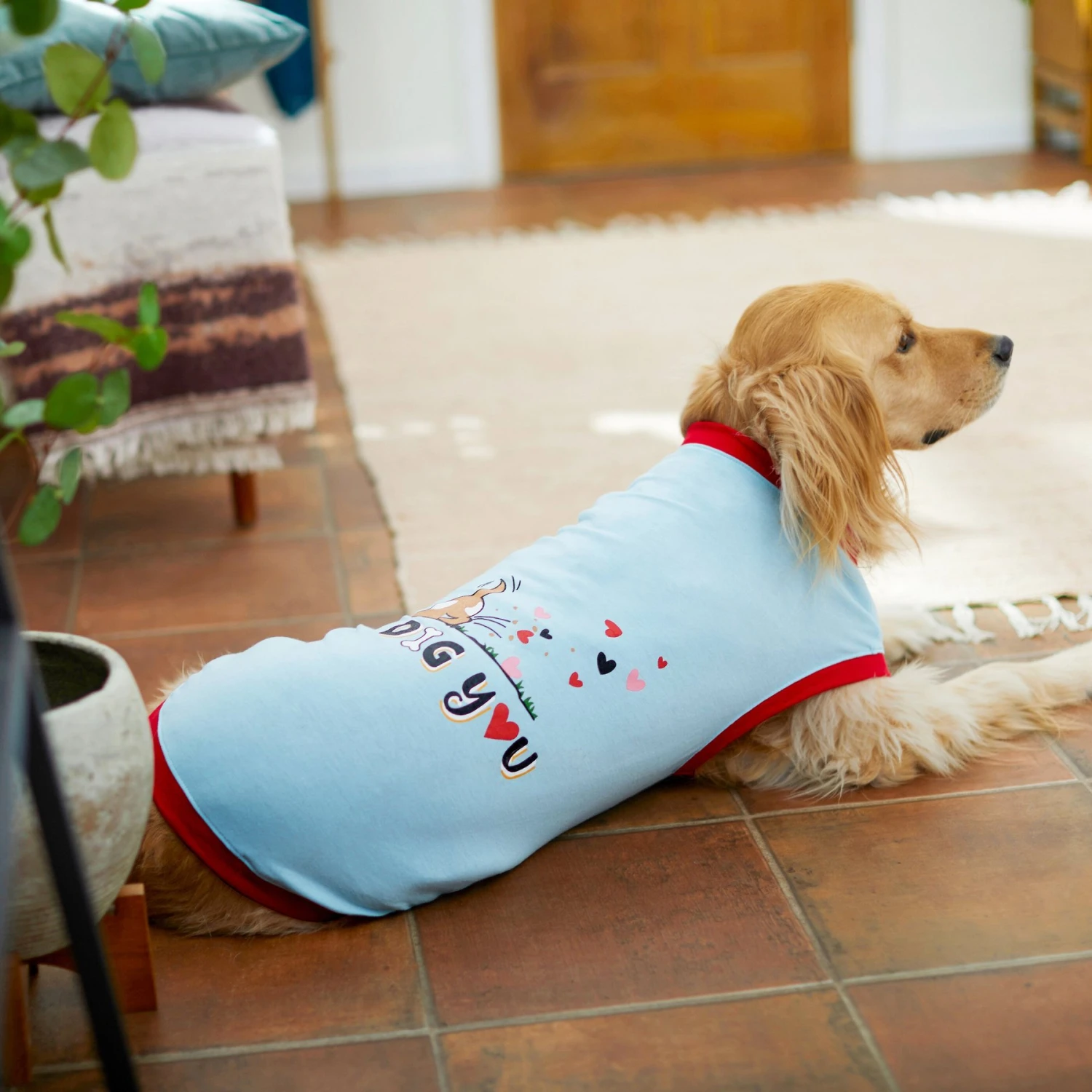 Frisco I Dig You Dog & Cat T-shirt 7 Frisco I Dig You Dog & Cat T-shirt - Image 7