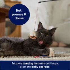 Frisco Zoomies & Chill Popcorn Teaser Wand Cat Toy With Catnip 8 Frisco Zoomies & Chill Popcorn Teaser Wand Cat Toy With Catnip -Meowverse Store 241713 PT5. AC SS1800 V1691785246