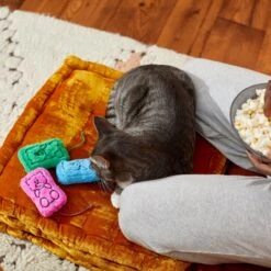 Frisco Zoomies & Chill Gummy Bear Plush Cat Toy With Catnip -Meowverse Store 241715 PT6. AC SS1800 V1610768413