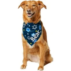 Frisco Hanukkah Personalized Dog & Cat Bandana 14 Frisco Hanukkah Personalized Dog & Cat Bandana -Meowverse Store 242799 PT6. AC SS1800 V1618511253