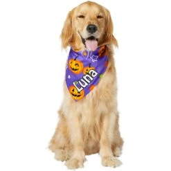 Frisco Halloween Pumpkins Personalized Dog & Cat Bandana -Meowverse Store 242815 PT6. AC SS1800 V1618509475