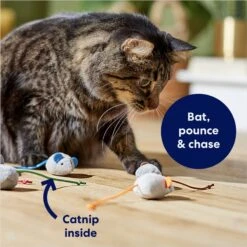 Frisco Mice Plush Cat Toy With Catnip -Meowverse Store 245899 PT2. AC SS1800 V1678723852