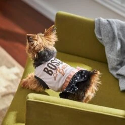 Frisco Boss Babe Dog & Cat Dress -Meowverse Store 248674 PT7. AC SS1800 V1613666625