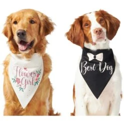 Frisco Wedding Reversible Dog & Cat Bandana 11 Frisco Wedding Reversible Dog & Cat Bandana -Meowverse Store 248712 PT2. AC SS1800 V1632429387