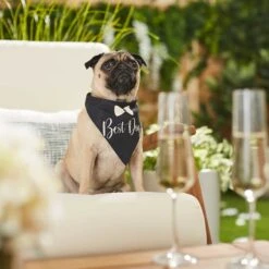 Frisco Wedding Reversible Dog & Cat Bandana 14 Frisco Wedding Reversible Dog & Cat Bandana -Meowverse Store 248712 PT5. AC SS1800 V1632432987