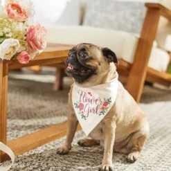 Frisco Wedding Reversible Dog & Cat Bandana 15 Frisco Wedding Reversible Dog & Cat Bandana -Meowverse Store 248712 PT6. AC SS1800 V1632430655