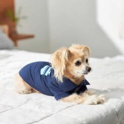 Frisco Dog & Cat Polo Shirt With Accent Pocket 15 Frisco Dog & Cat Polo Shirt With Accent Pocket -Meowverse Store 248880 PT7. AC SS1800 V1644960683