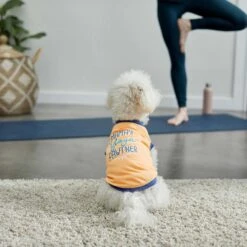 Frisco Mama's Yoga Pawtner Dog & Cat T-Shirt -Meowverse Store 248966 PT4. AC SS1800 V1624592860
