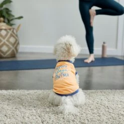 Frisco Mama's Yoga Pawtner Dog & Cat T-Shirt -Meowverse Store 248966 PT7. AC SS1800 V1614201756