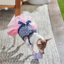 Frisco Leopard Print Dog & Cat Dress 11 Frisco Leopard Print Dog & Cat Dress -Meowverse Store 249051 PT5. AC SS1800 V1644960386