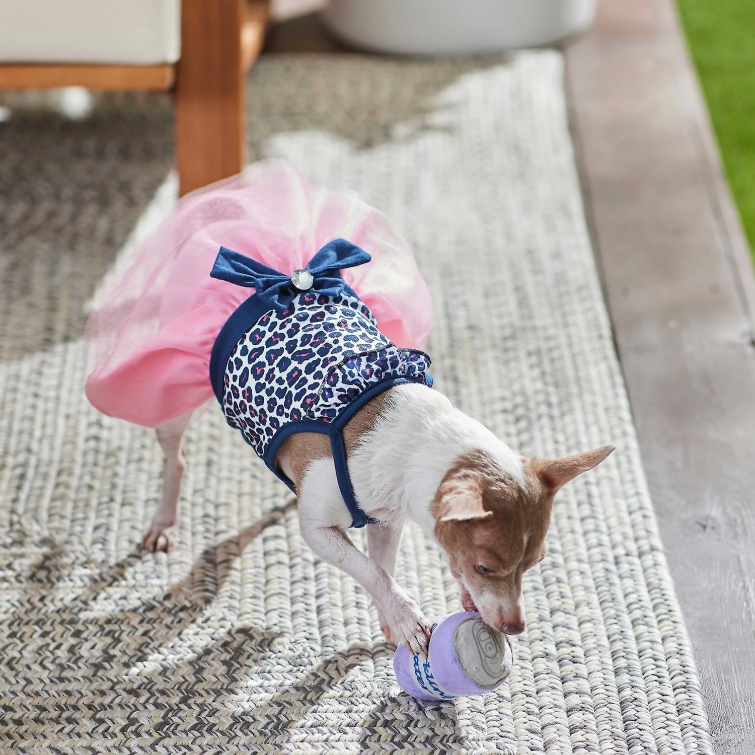 Frisco Leopard Print Dog & Cat Dress 6 Frisco Leopard Print Dog & Cat Dress - Image 6