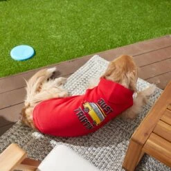 Frisco Just Trippin' Dog & Cat Hoodie 13 Frisco Just Trippin' Dog & Cat Hoodie -Meowverse Store 249086 PT7. AC SS1800 V1614361932