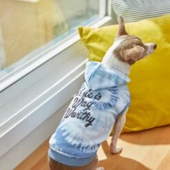 Frisco Life Is Wag Worthy Tiedye Print Dog & Cat Hoodie 14 Frisco Life Is Wag Worthy Tiedye Print Dog & Cat Hoodie -Meowverse Store 249094 PT7. AC SS1800 V1614362017
