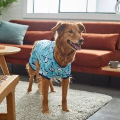 Frisco Happy Shark Dog & Cat Jersey PJs 11 Frisco Happy Shark Dog & Cat Jersey PJs -Meowverse Store 249122 PT7. AC SS1800 V1614276183