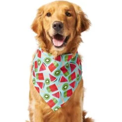 Frisco Fruity Summer Dog & Cat Bandana 9 Frisco Fruity Summer Dog & Cat Bandana -Meowverse Store 249204 PT2. AC SS1800 V1637644629