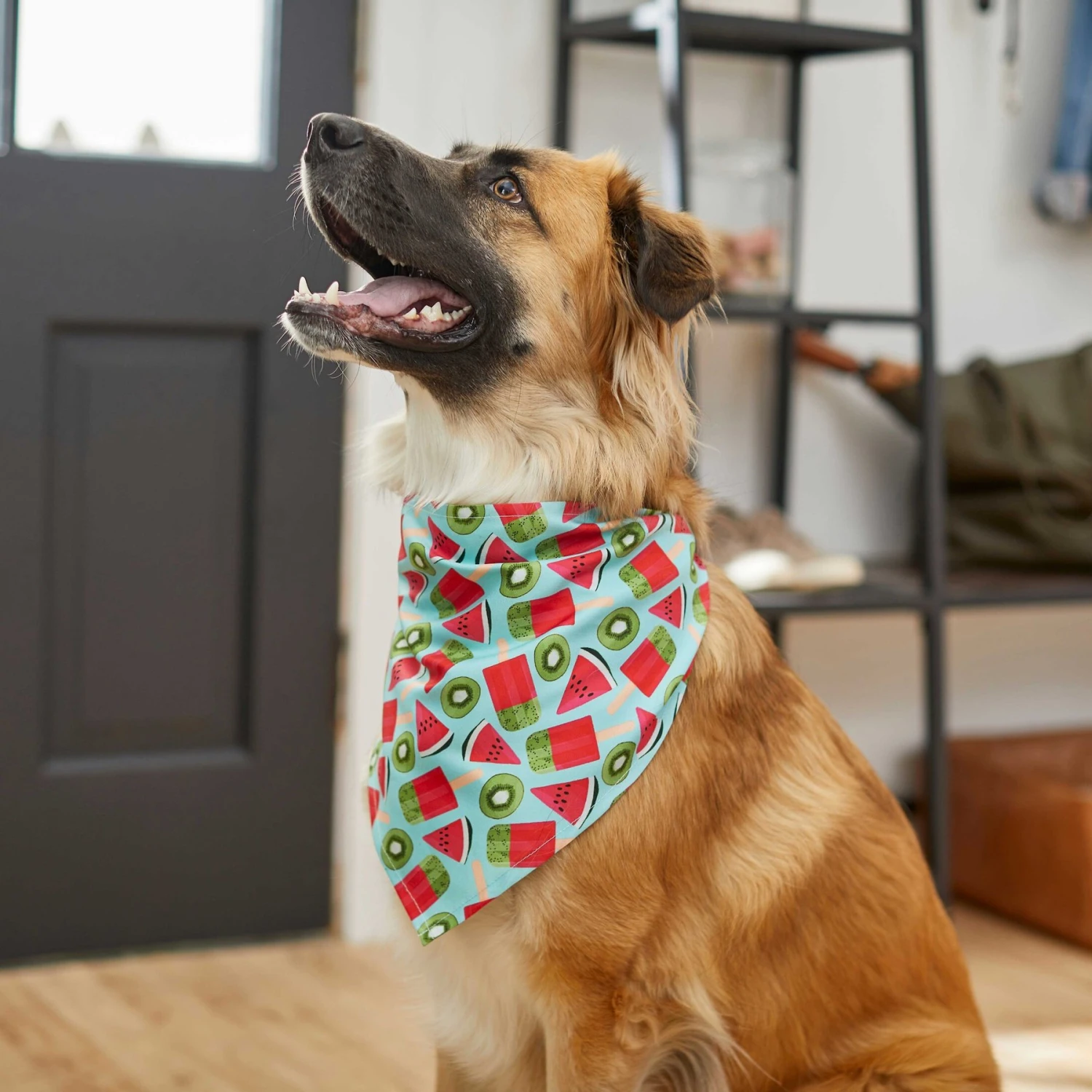 Frisco Fruity Summer Dog & Cat Bandana 5 Frisco Fruity Summer Dog & Cat Bandana - Image 5