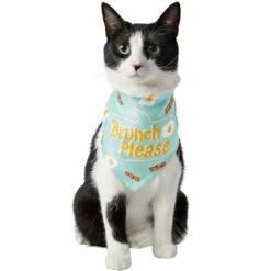 Frisco Brunch Please Dog & Cat Bandana 10 Frisco Brunch Please Dog & Cat Bandana -Meowverse Store 249207 PT2. AC SS1800 V1696597732