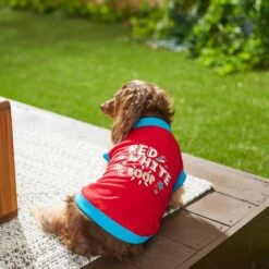 Frisco Red, White & Boop Dog & Cat T-Shirt -Meowverse Store 249242 PT5. AC SS1800 V1624616560