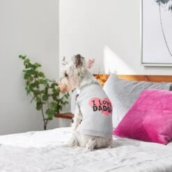 Frisco I Love Daddy Dog & Cat T-Shirt, Gray 13 Frisco I Love Daddy Dog & Cat T-Shirt, Gray -Meowverse Store 249263 PT7. AC SS1800 V1614284197