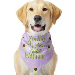 Frisco You're All I've Avo Wanted Dog & Cat Bandana -Meowverse Store 249292 PT2. AC SS1800 V1637723806