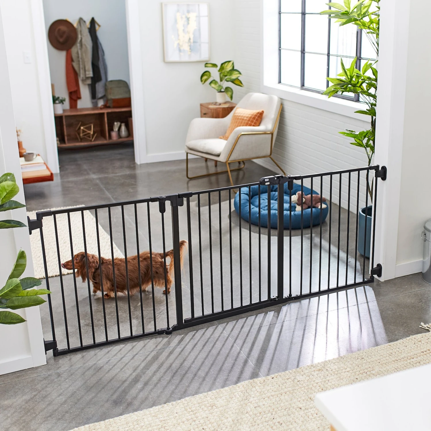 Frisco Steel 3-Panel Configurable Dog Gate, 30-in 1 Frisco Steel 3-Panel Configurable Dog Gate, 30-in