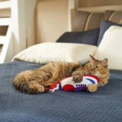 Frisco Baseball Cleat Cat Toy -Meowverse Store 252734 PT5. AC SS1800 V1615814504