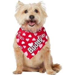 Frisco XOXO Hearts Personalized Dog & Cat Bandana -Meowverse Store 254203 PT6. AC SS1800 V1632427913
