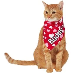 Frisco XOXO Hearts Personalized Dog & Cat Bandana -Meowverse Store 254203 PT7. AC SS1800 V1632417974