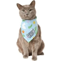Frisco Easter Bunny Personalized Dog & Cat Bandana 16 Frisco Easter Bunny Personalized Dog & Cat Bandana -Meowverse Store 254211 PT7. AC SS1800 V1618510982