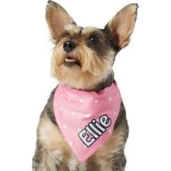 Frisco Polka Dot Personalized Dog & Cat Bandana 15 Frisco Polka Dot Personalized Dog & Cat Bandana -Meowverse Store 254223 PT6. AC SS1800 V1696432728