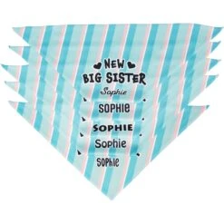 Frisco Big Sister Personalized Dog & Cat Bandana -Meowverse Store 254235 PT4. AC SS1800 V1619558530