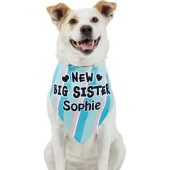 Frisco Big Sister Personalized Dog & Cat Bandana -Meowverse Store 254235 PT6. AC SS1800 V1619558258