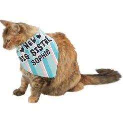 Frisco Big Sister Personalized Dog & Cat Bandana -Meowverse Store 254235 PT7. AC SS1800 V1619560404