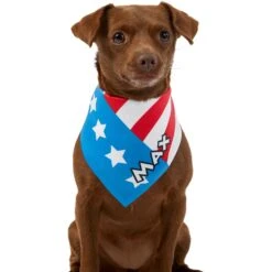 Frisco Americana Personalized Dog & Cat Bandana -Meowverse Store 254239 PT6. AC SS1800 V1619558231
