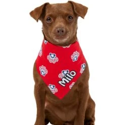 Frisco Patriotic Paws Personalized Dog & Cat Bandana 15 Frisco Patriotic Paws Personalized Dog & Cat Bandana -Meowverse Store 254243 PT6. AC SS1800 V1619557657