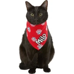 Frisco Patriotic Paws Personalized Dog & Cat Bandana 16 Frisco Patriotic Paws Personalized Dog & Cat Bandana -Meowverse Store 254243 PT7. AC SS1800 V1619559130