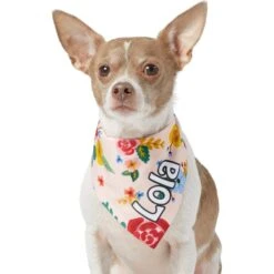 Frisco Floral Personalized Dog & Cat Bandana -Meowverse Store 254255 PT6. AC SS1800 V1618507356