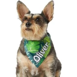 Frisco Tropical Palms Personalized Dog & Cat Bandana -Meowverse Store 254259 PT6. AC SS1800 V1632425201