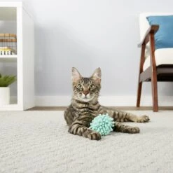Frisco Moppy Ball Cat Toy With Catnip & Frisco Moppy Ball Cat Toy With Catnip -Meowverse Store 255585 PT2. AC SS1800 V1602691604
