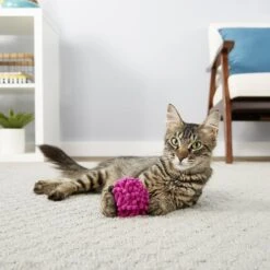 Frisco Moppy Ball Cat Toy With Catnip & Frisco Moppy Ball Cat Toy With Catnip -Meowverse Store 255585 PT4. AC SS1800 V1602691598