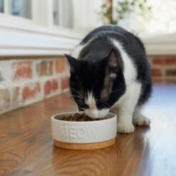 Frisco Round Meow Non-skid Ceramic Cat Bowl With Wood Base 8 Frisco Round Meow Non-skid Ceramic Cat Bowl With Wood Base -Meowverse Store 256078 PT2. AC SS1800 V1615313612