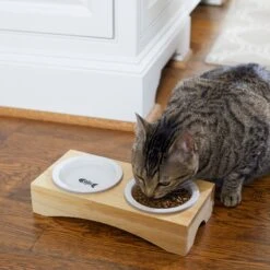 Frisco Double Elevated Cat Bowl With Wood Stand -Meowverse Store 256082 PT2. AC SS1800 V1615312650