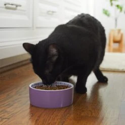 Frisco Kaleidoscope Pattern Non-skid Ceramic Dog & Cat Bowl -Meowverse Store 256090 PT2. AC SS1800 V1615311092