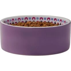 Frisco Kaleidoscope Pattern Non-skid Ceramic Dog & Cat Bowl -Meowverse Store 256090 PT3. AC SS1800 V1615311698