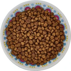 Frisco Kaleidoscope Pattern Non-skid Ceramic Cat Dish -Meowverse Store 256092 PT5. AC SS1800 V1617042691