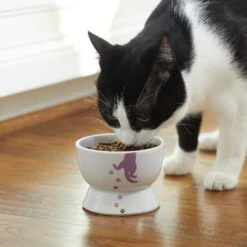 Frisco Cat Print Non-skid Elevated Ceramic Cat Bowl, Short -Meowverse Store 256096 PT2. AC SS1800 V1616522571