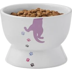Frisco Cat Print Non-skid Elevated Ceramic Cat Bowl, Short -Meowverse Store 256096 PT5. AC SS1800 V1616522496